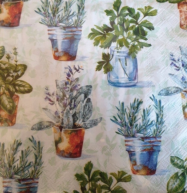 Bloemen & Planten 1.200.004