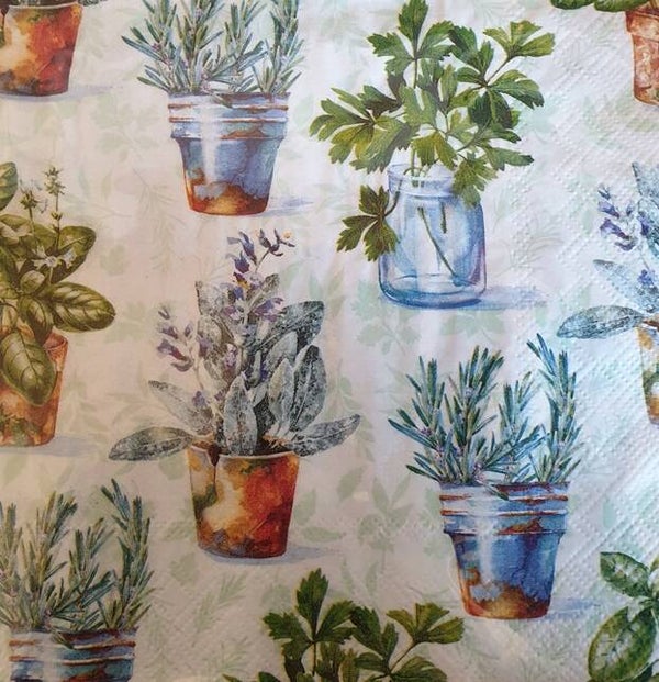 Bloemen & Planten 1.200.004