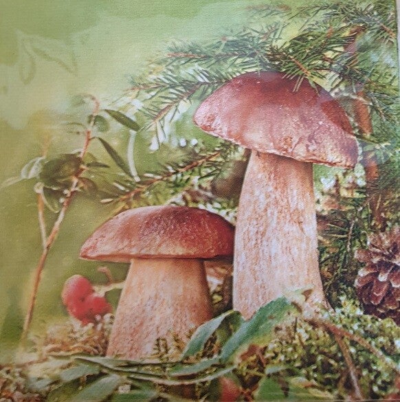 Bloemen & Planten 1.200.008