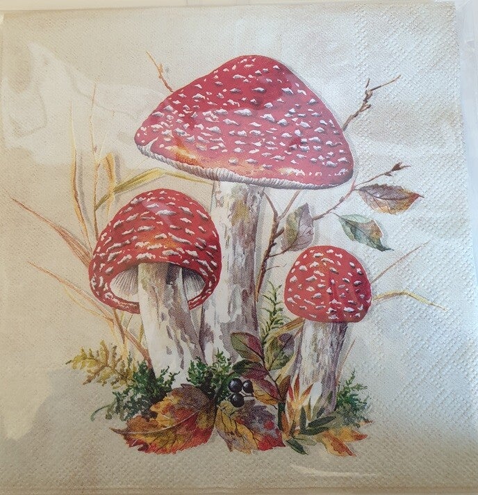 Bloemen & Planten 1.200.009