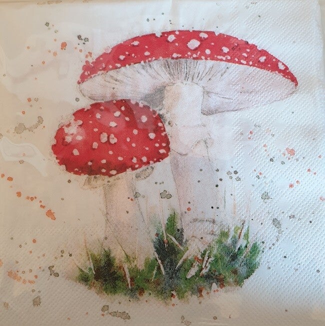 Bloemen & Planten 1.200.010