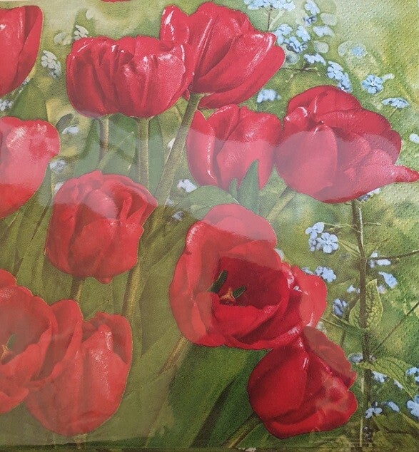 Bloemen & Planten 1.200.012