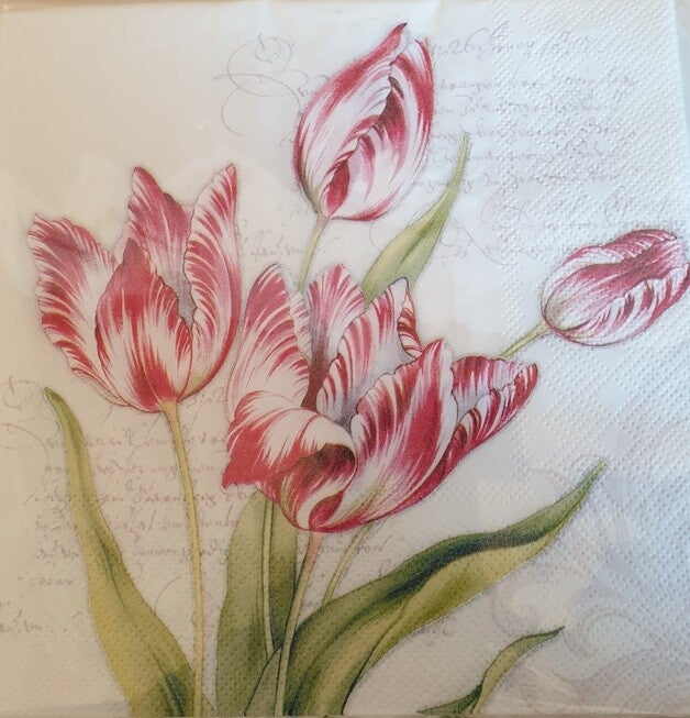 Bloemen & Planten 1.200.015