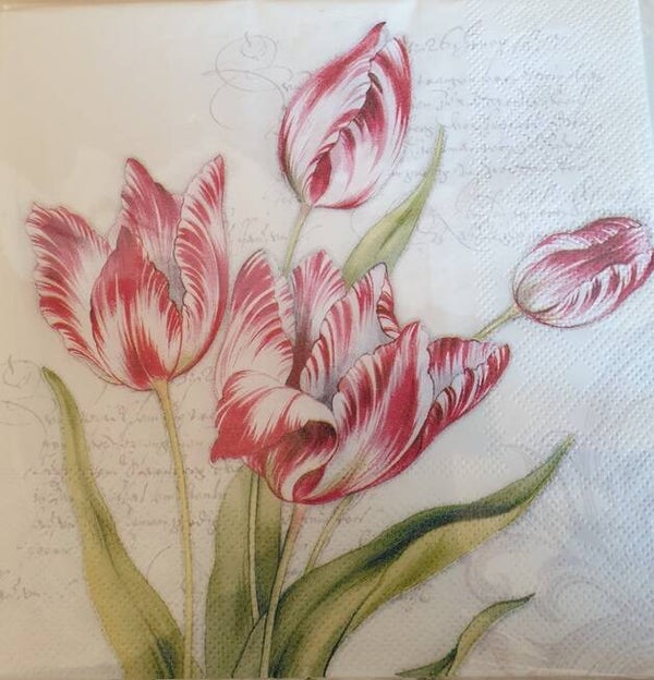 Bloemen & Planten 1.200.015