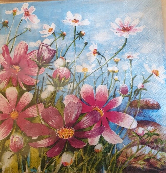 Bloemen & Planten 1.200.019