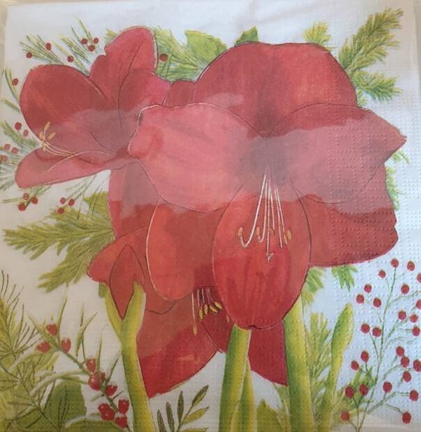 Bloemen & Planten 1.200.023
