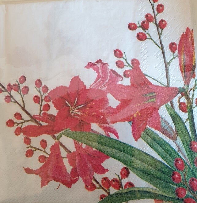 Bloemen & Planten 1.200.024