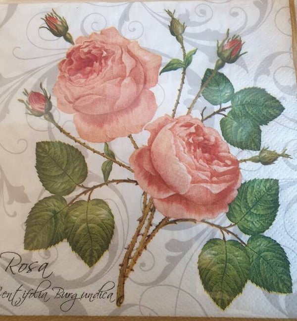 Bloemen & Planten 1.200.032