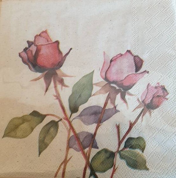 Bloemen & Planten 1.200.042