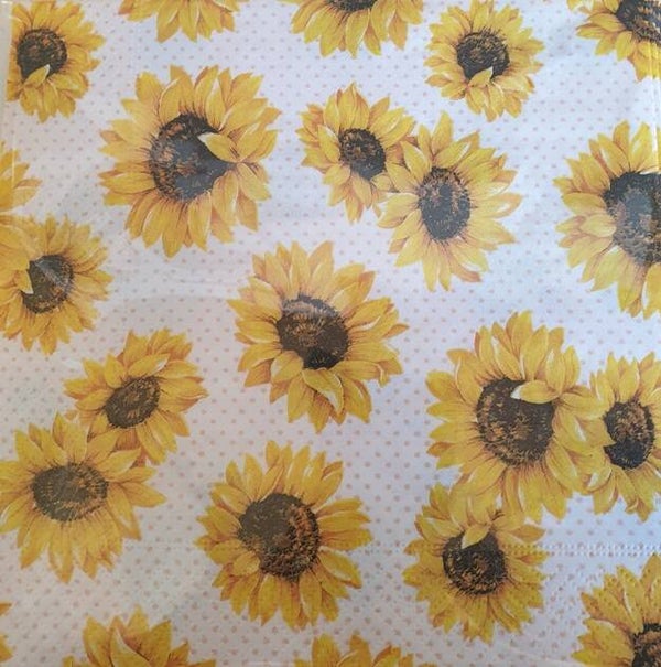 Bloemen & Planten 1.200.043