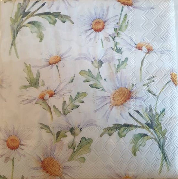 Bloemen & Planten 1.200.048