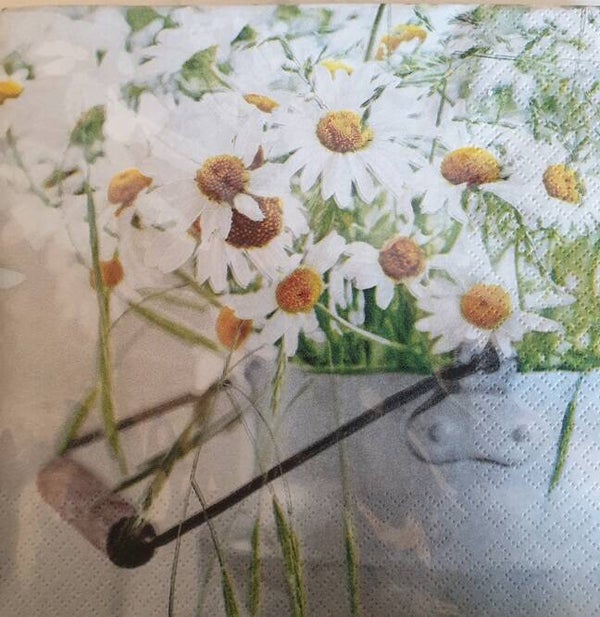 Bloemen & Planten 1.200.050