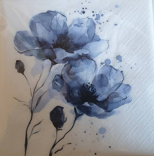 Bloemen & Planten 1.200.057