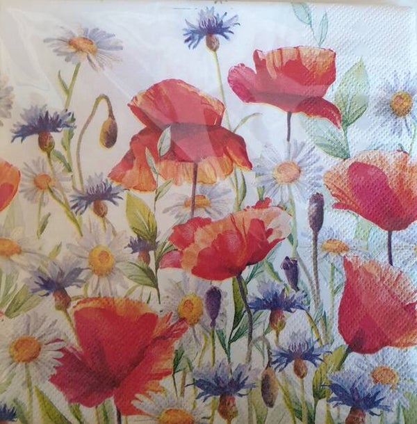 Bloemen & Planten 1.200.060