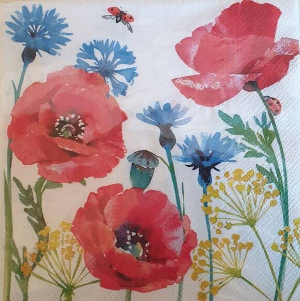 Bloemen & Planten 1.200.061