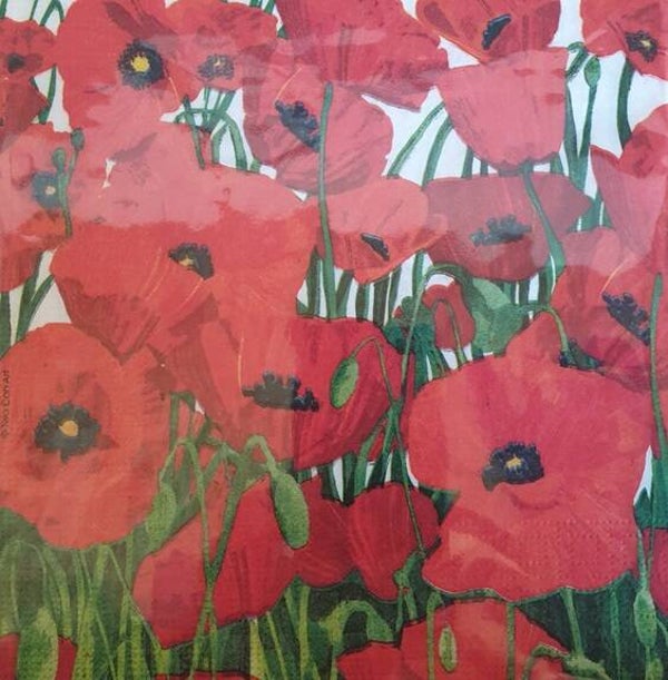 Bloemen & Planten 1.200.062