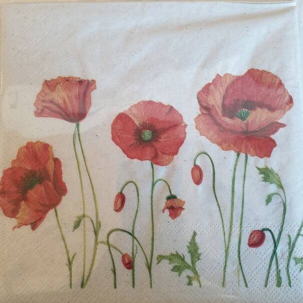 Bloemen & Planten 1.200.063