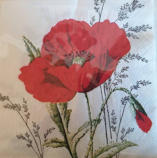 Bloemen & Planten 1.200.064
