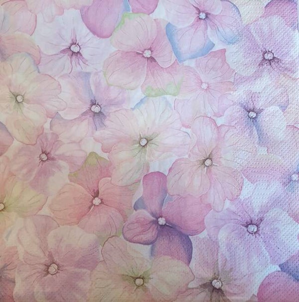Bloemen & Planten 1.200.067