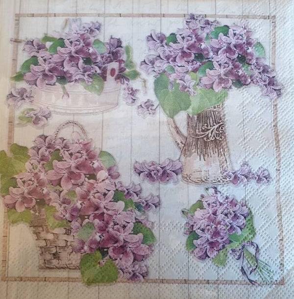 Bloemen & Planten 1.200.071