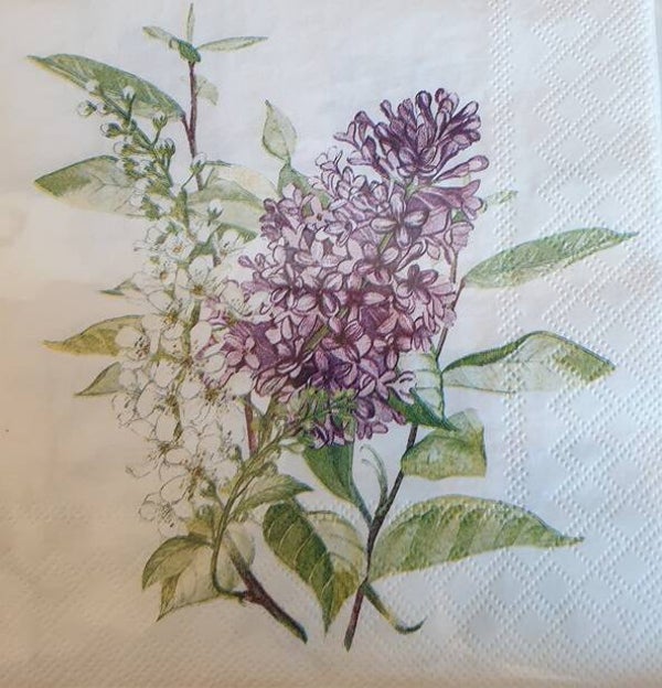 Bloemen & Planten 1.200.072