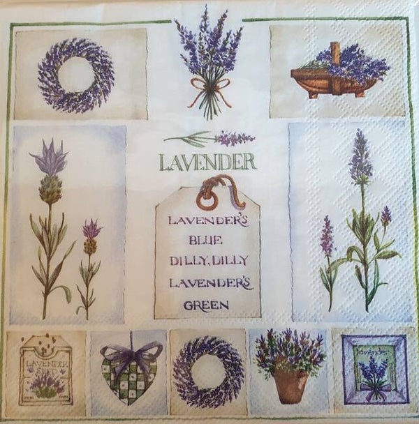 Bloemen & Planten 1.200.074