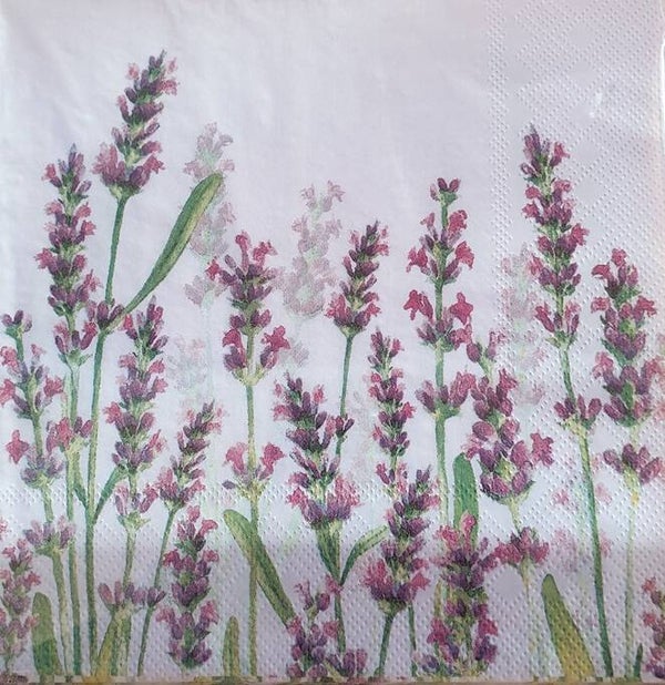 Bloemen & Planten 1.200.078