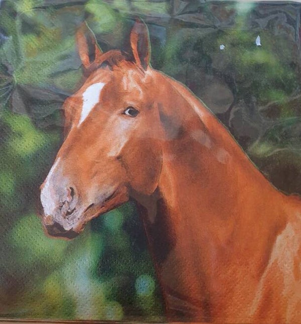 Paard 1.100.001