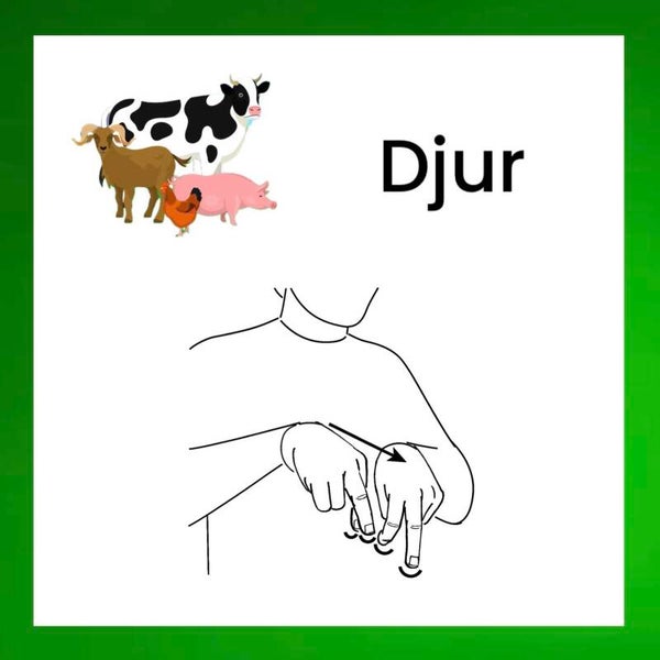 Djur tema - Teckenspråk