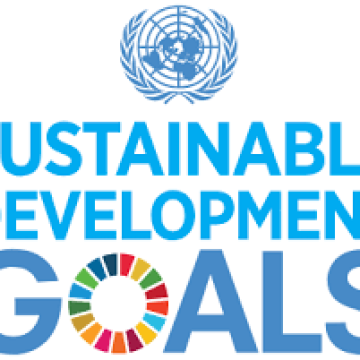 Certified SDGs Professional