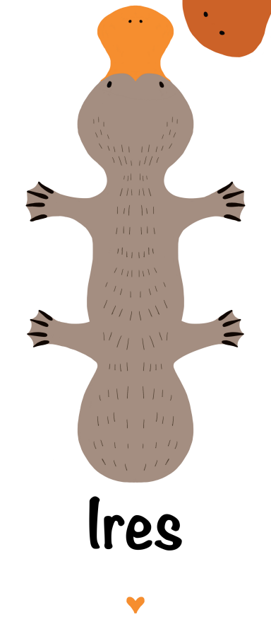 Geboortekaartje vogelbekdier 