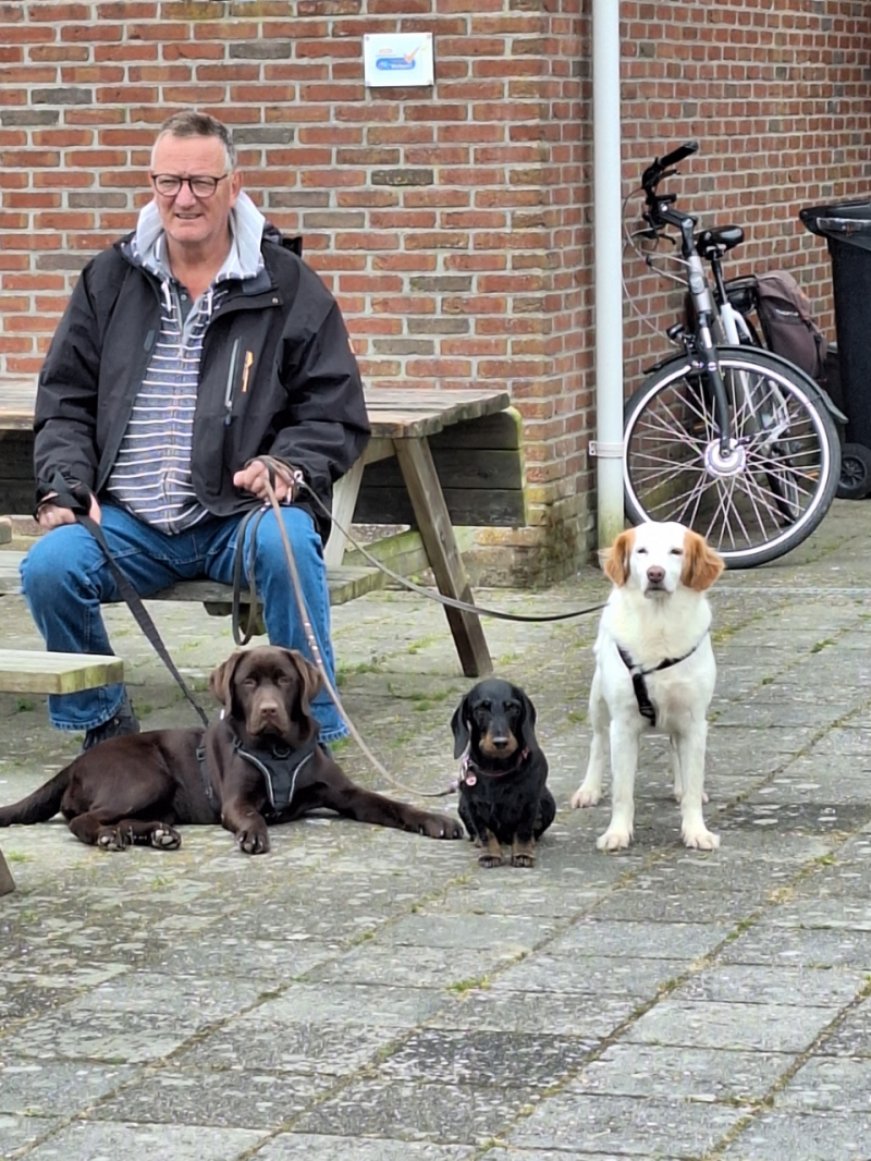 nr 7. Wachten op het veer