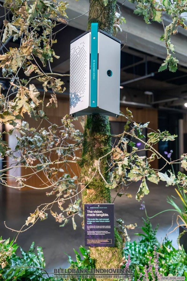 The Hornet Trap | DDW 2026