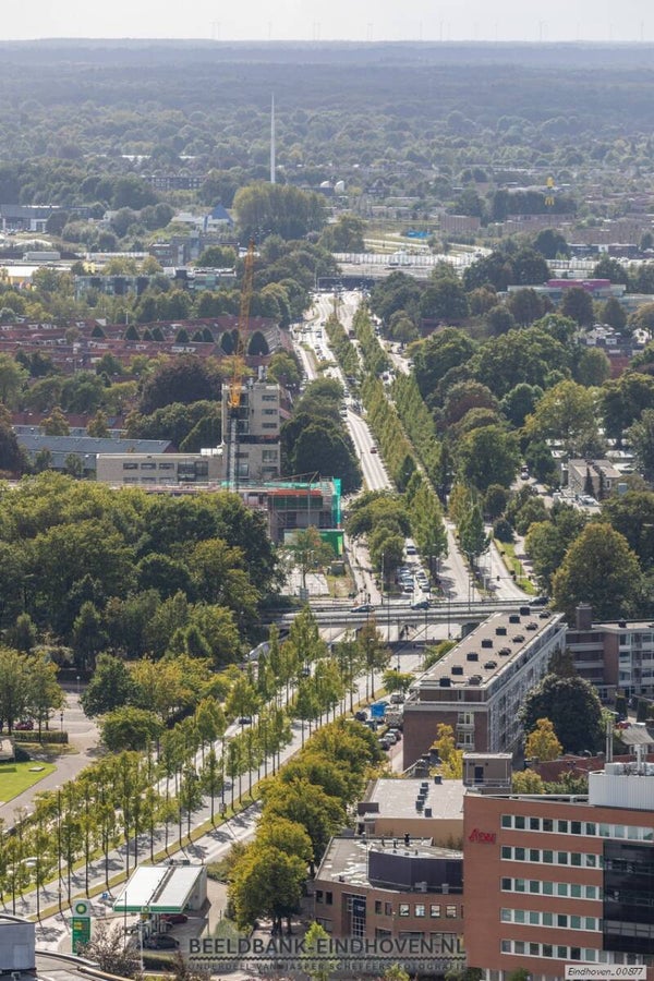 Noord Brabantlaan