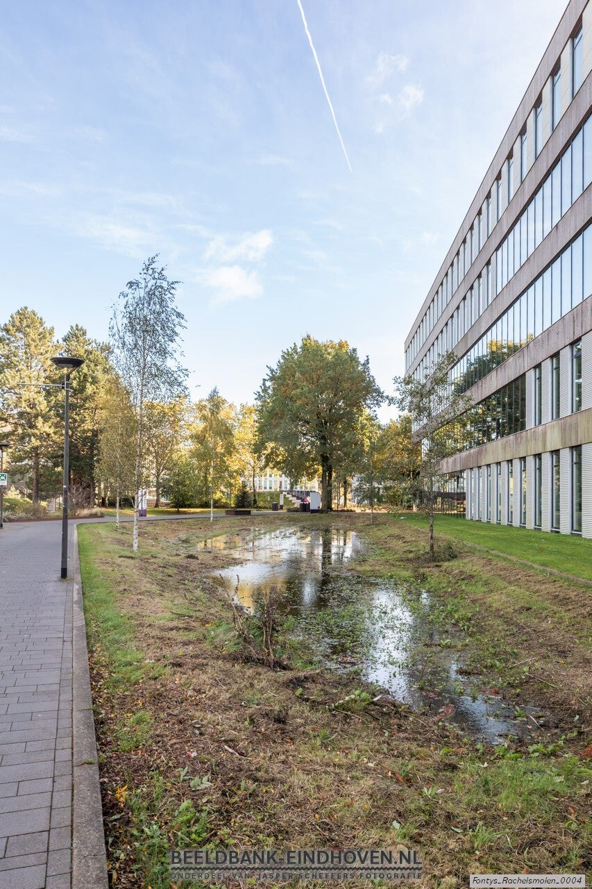 Wadi Fontys Rachelsmolen