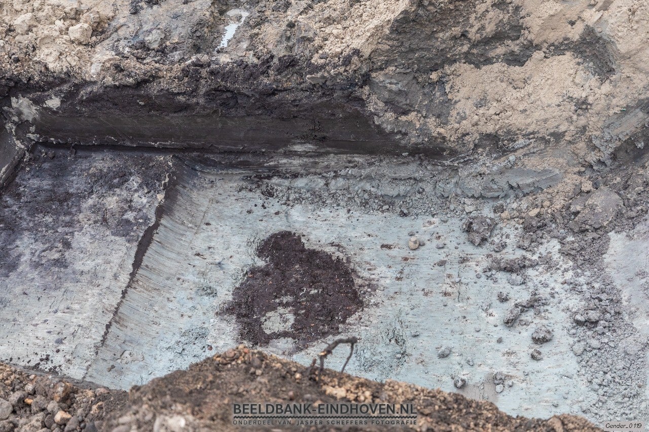 Boom in ondergrond Gender