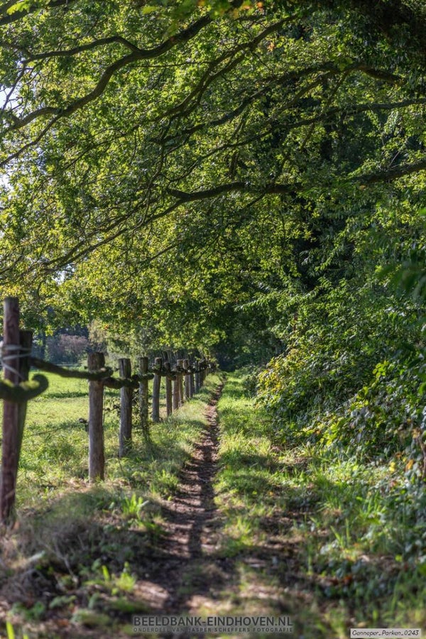 Wandelpad door de Genneper Parken