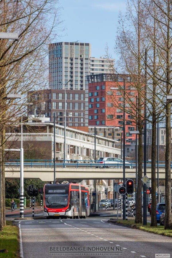 Lijn 403 op de HOV1‑busbaan