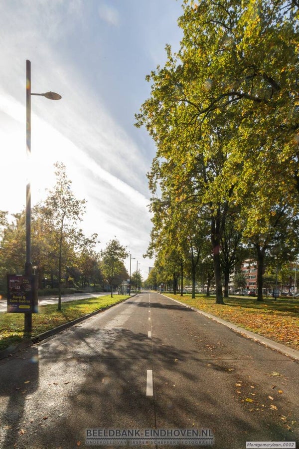 Busbaan Veldmaarschalk Montgomerylaan