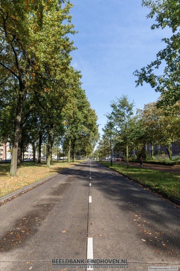Busbaan Veldmaarschalk Montgomerylaan