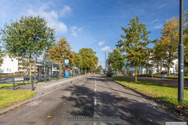 Bushalte Fontys op Veldmaarschalk Montgomerylaan