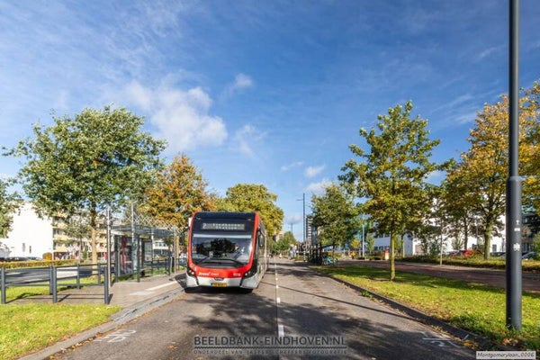 Bus bij bushalte Veldmaarschalk Montgomerylaan
