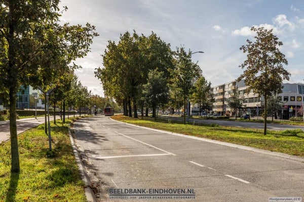 Busbaan Veldmaarschalk Montgomerylaan