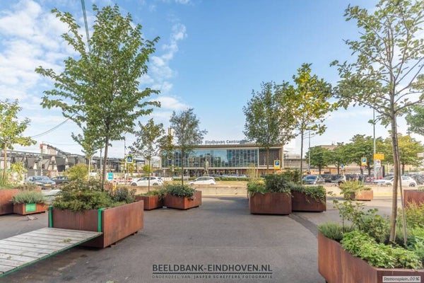 Groen op het Stationsplein