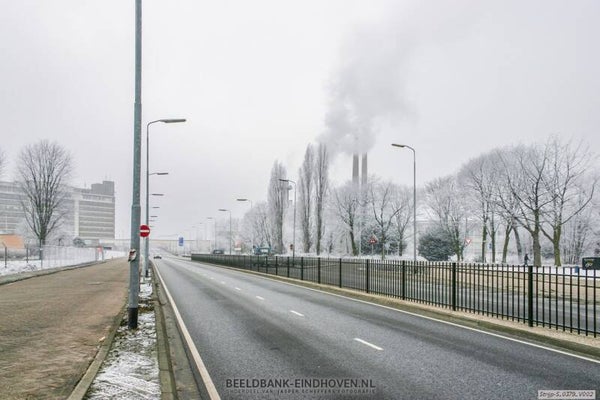 Beukenlaan in de winter