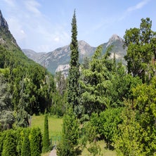 2022grasse51ra-020.jpg