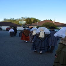 dsc_0531-standard.jpg