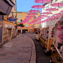 2022grasse51ra-049.jpg