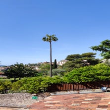 2022grasse51ra-055.jpg