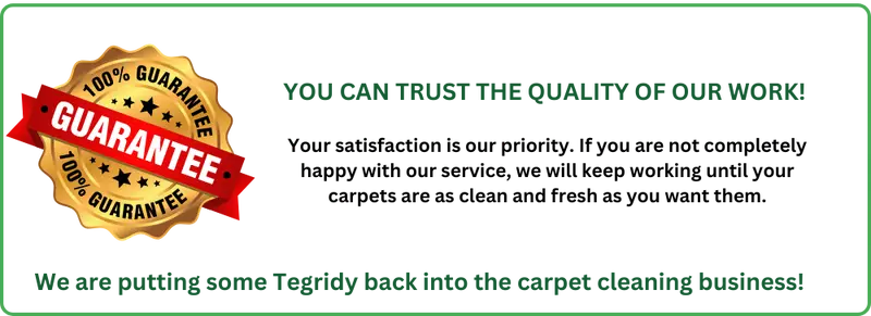 "Tegridy Carpets guarantee badge with the text '100% Guarantee' on a gold seal, accompanied by the promise 'Your satisfaction is our priority' highlighted on a green and red background."